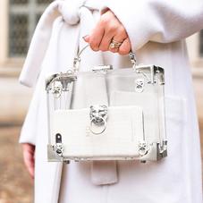 Lion Mini Trunk Clutch in Transparent Acrylic with Silver Hardware