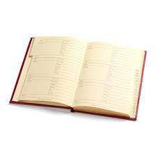 Lizard Print Large Address Book in Berry Lizard