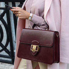 Large Lion Lansdowne Bag in Smooth Claret