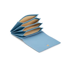 Accordion Zipped Credit Card Holder in Smooth Bluebird