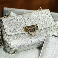 Micro Lottie Bag in Silver Python Print with Perso Lock
