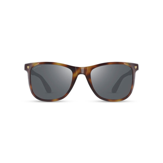 Milano Sunglasses in Tortoiseshell Acetate from Aspinal of London