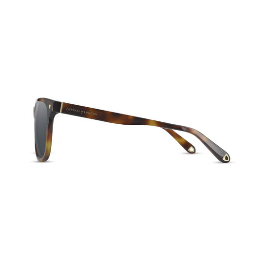 Milano Sunglasses in Tortoiseshell Acetate from Aspinal of London