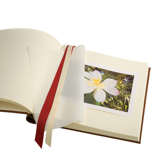 8-inch Lizard Print Leather Photo Album in Midnight Blue Silk Lizard from Aspinal of London